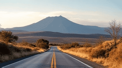 Road Trip Essentials: Must-Haves for a Memorable Journey
